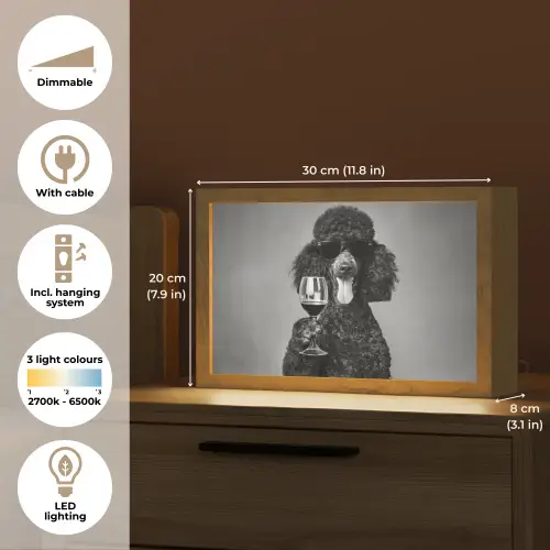 Hond - Krullen - Zonnebril - Wijn Light Box met kabel (Tafellamp) klein -USP_EN