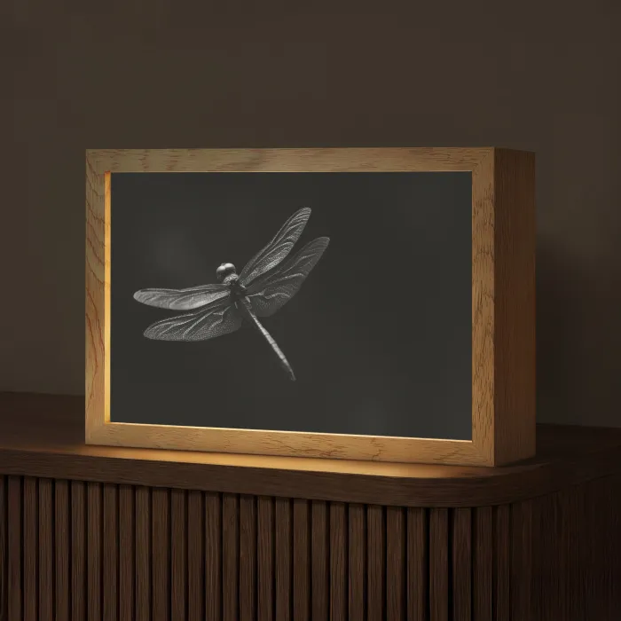 Libelle - Dieren - Zwart - Insect Light Box met kabel (Tafellamp) klein -z3d_website
