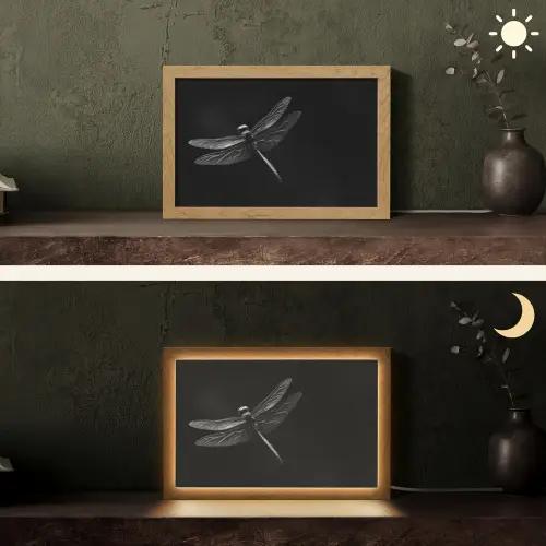 Libelle - Dieren - Zwart - Insect Light Box met kabel (Tafellamp) klein -sfeer3