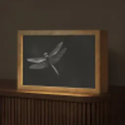 Libelle - Dieren - Zwart - Insect Light Box met kabel (Tafellamp) klein -z3d_website