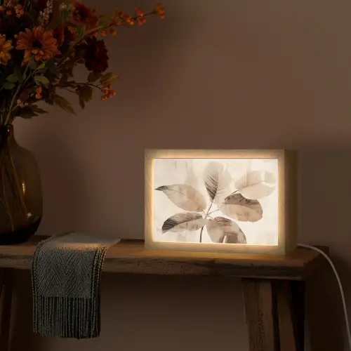 Gedroogde plant - Natuur - Bruin - Planten Light Box met kabel (Tafellamp) klein -sfeer4