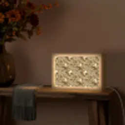 Druppels - Organisch - Goud Light Box met kabel (Tafellamp) klein 924 -sfeer4