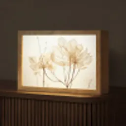 Droogbloemen - Beige - Planten - Wit Light Box met kabel (Tafellamp) klein -z3d_website