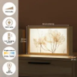 Droogbloemen - Beige - Planten - Wit Light Box met kabel (Tafellamp) klein -USP_EN