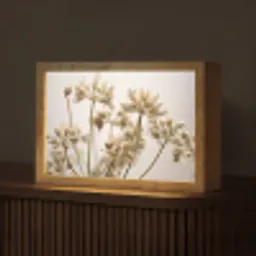 Droogbloemen - Beige - Wit - Planten Light Box met kabel (Tafellamp) klein -z3d_website