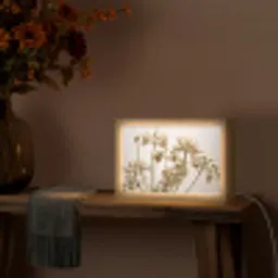 Droogbloemen - Beige - Wit - Planten Light Box met kabel (Tafellamp) klein -sfeer4