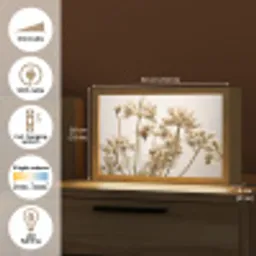 Droogbloemen - Beige - Wit - Planten Light Box met kabel (Tafellamp) klein -USP_EN