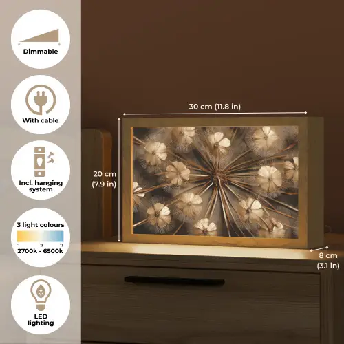 Droogbloemen - Bruin - Natuur Light Box met kabel (Tafellamp) klein -USP_EN