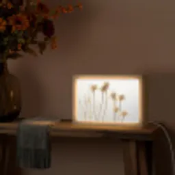 Droogbloemen - Natuur - Botanisch Light Box met kabel (Tafellamp) klein -sfeer4