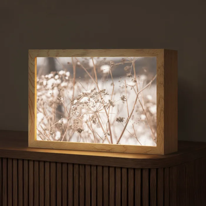 Droogbloemen - Wit - Planten Light Box met kabel (Tafellamp) klein -z3d_website