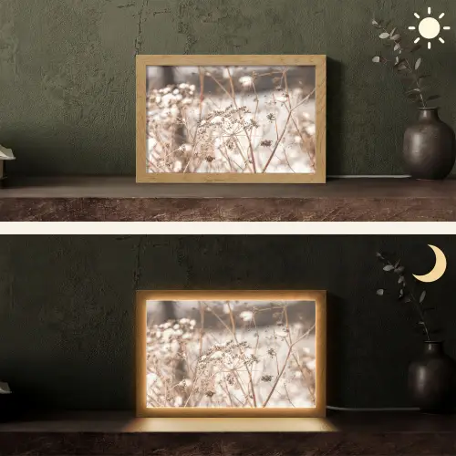 Droogbloemen - Wit - Planten Light Box met kabel (Tafellamp) klein -sfeer3