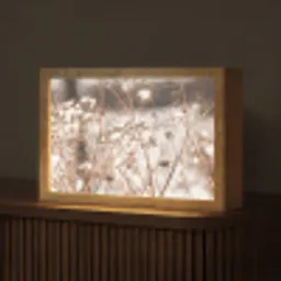 Droogbloemen - Wit - Planten Light Box met kabel (Tafellamp) klein -z3d_website