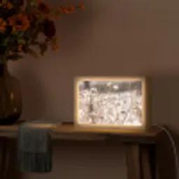 Droogbloemen - Wit - Planten Light Box met kabel (Tafellamp) klein -sfeer4
