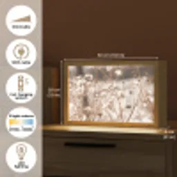 Droogbloemen - Wit - Planten Light Box met kabel (Tafellamp) klein -USP_EN