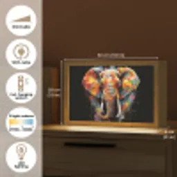 Olifant - Graffiti - Zwart - Dieren - Kleuren Light Box met kabel (Tafellamp) klein -USP_EN