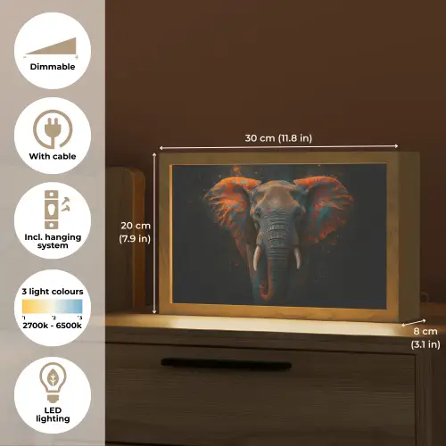 Olifant - Oranje - Oren Light Box met kabel (Tafellamp) klein -USP_EN