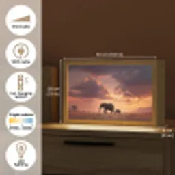 Olifanten - Grasland - Zonsondergang Light Box met kabel (Tafellamp) klein -USP_EN