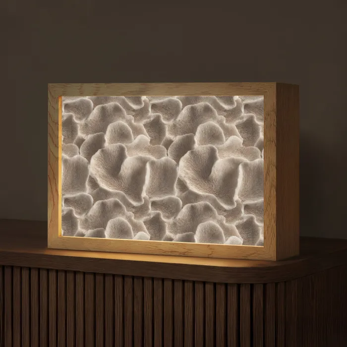 Waaiervorm - Beige - Vezel textuur Light Box met kabel (Tafellamp) klein 924 -z3d_website