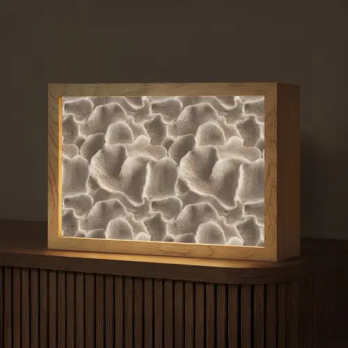 Waaiervorm - Beige - Vezel textuur Light Box met kabel (Tafellamp) klein 924 -z3d_website