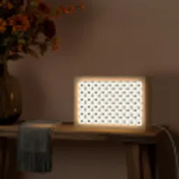Vet - Liefde - Wit - Zwart Light Box met kabel (Tafellamp) klein 924 -sfeer4