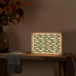 Vis - Patroon - Groen Light Box met kabel (Tafellamp) klein 924 -sfeer4