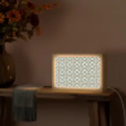 Floraal - Verweerd - Keurrijk Light Box met kabel (Tafellamp) klein 924 -sfeer4