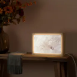 Bloem - Abstract - Wit - Water - Natuur Light Box met kabel (Tafellamp) klein -sfeer4