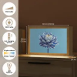 Bloem - Blauw - Bloemblaadjes - Streepjes Light Box met kabel (Tafellamp) klein -USP_EN