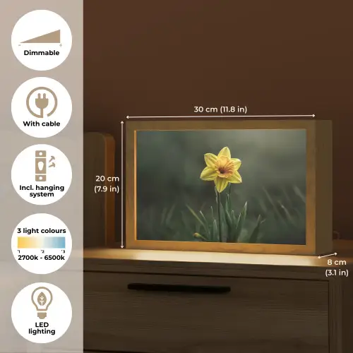Bloem - Narcis - Gras - Geel Light Box met kabel (Tafellamp) klein -USP_EN