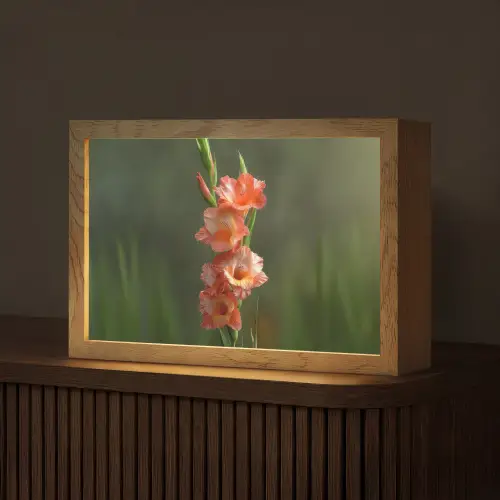 Bloem - Gladiolen - Zalmroze Light Box met kabel (Tafellamp) klein -z3d_website