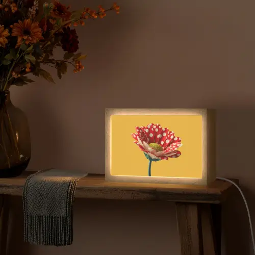 Bloem - Rood - Stippen Light Box met kabel (Tafellamp) klein -sfeer4