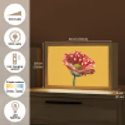 Bloem - Rood - Stippen Light Box met kabel (Tafellamp) klein -USP_EN