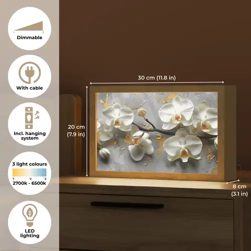 Bloemen - Orchidee - Abstract - Modern Light Box met kabel (Tafellamp) klein -USP_EN