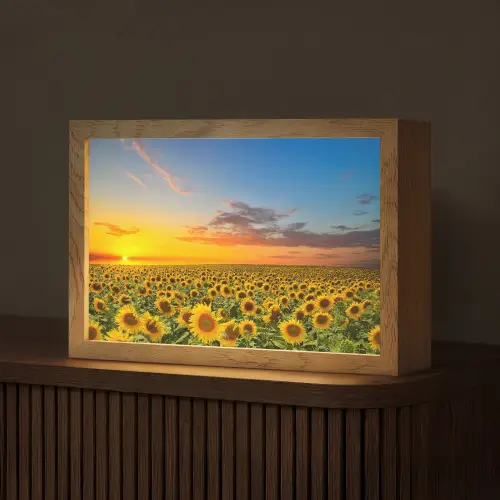 Bloemen - Zonnebloem - Zonsondergang - Nacht - Oranje Light Box met kabel (Tafellamp) klein -z3d_website