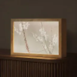 Bloemen - Wit - Planten Light Box met kabel (Tafellamp) klein -z3d_website