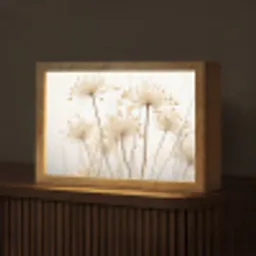 Bloemen - Wit - Zonlicht Light Box met kabel (Tafellamp) klein -z3d_website