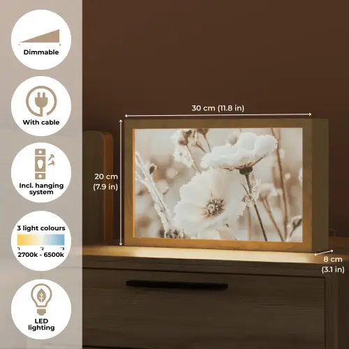 Bloemen - Winter - Wit - Sneeuw - Beige Light Box met kabel (Tafellamp) klein -USP_EN