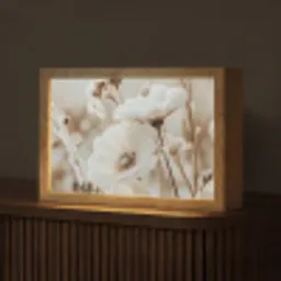 Bloemen - Winter - Wit - Sneeuw - Beige Light Box met kabel (Tafellamp) klein -z3d_website