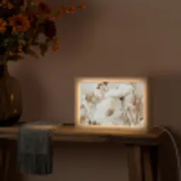 Bloemen - Winter - Wit - Sneeuw - Beige Light Box met kabel (Tafellamp) klein -sfeer4
