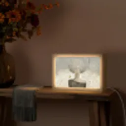Pluis - Vrouw - Beige Light Box met kabel (Tafellamp) klein -sfeer4