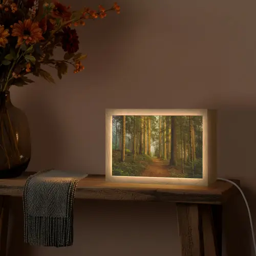 Bos - Natuur - Bomen - Landschap - Bladeren Light Box met kabel (Tafellamp) klein -sfeer4