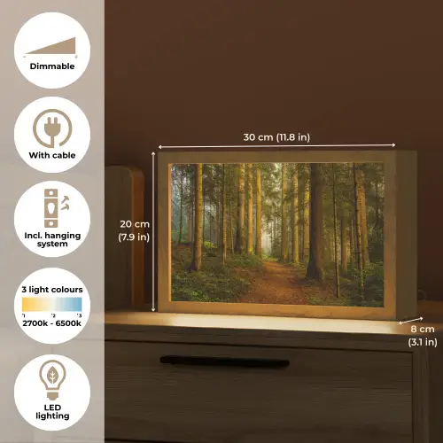 Bos - Natuur - Bomen - Landschap - Bladeren Light Box met kabel (Tafellamp) klein -USP_EN