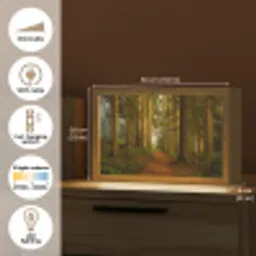 Bos - Natuur - Bomen - Landschap - Bladeren Light Box met kabel (Tafellamp) klein -USP_EN