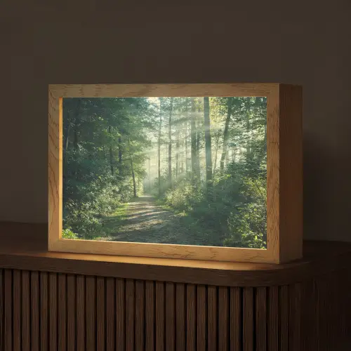 Bos - Pad - Zon - Bomen - Groen - Natuur Light Box met kabel (Tafellamp) klein -z3d_website
