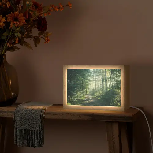 Bos - Pad - Zon - Bomen - Groen - Natuur Light Box met kabel (Tafellamp) klein -sfeer4