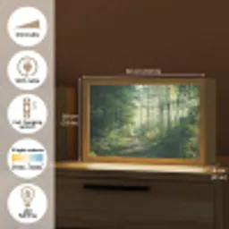 Bos - Pad - Zon - Bomen - Groen - Natuur Light Box met kabel (Tafellamp) klein -USP_EN