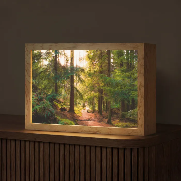Bos - Pad - Bomen - Groen - Zon - Natuur Light Box met kabel (Tafellamp) klein -z3d_website