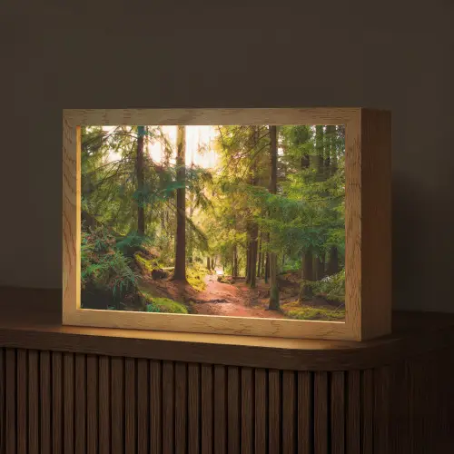 Bos - Pad - Bomen - Groen - Zon - Natuur Light Box met kabel (Tafellamp) klein -z3d_website