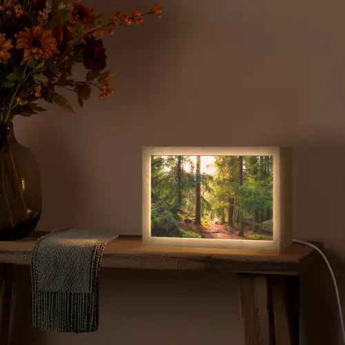 Bos - Pad - Bomen - Groen - Zon - Natuur Light Box met kabel (Tafellamp) klein -sfeer4
