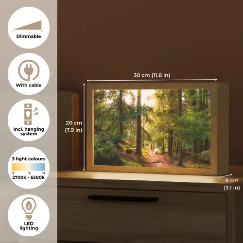 Bos - Pad - Bomen - Groen - Zon - Natuur Light Box met kabel (Tafellamp) klein -USP_EN